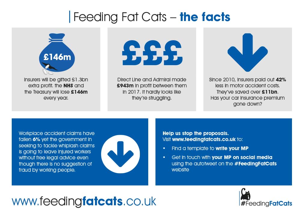 Feeding Fat Cats infographic